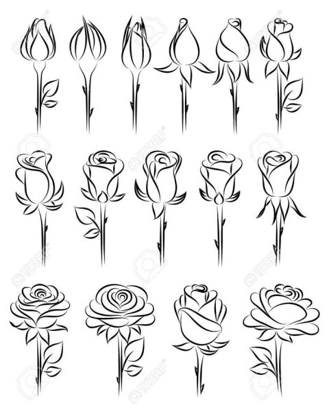 Роза черный контур