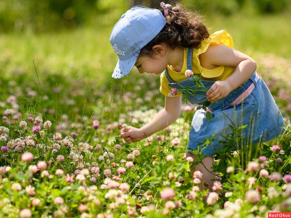 Дети собирают цветы