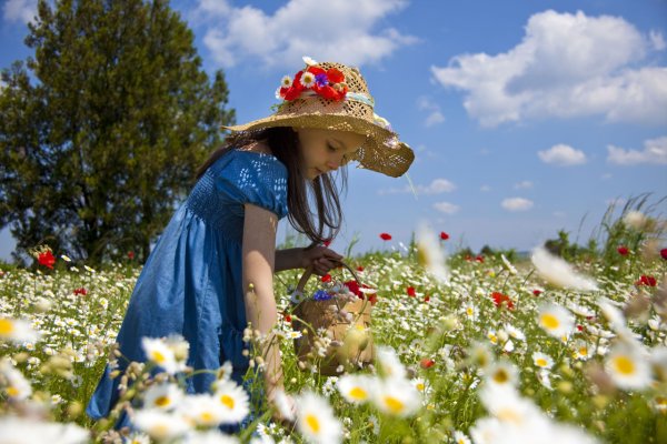 Девушка в полевых цветах