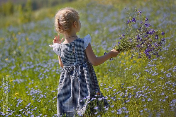 Девочка на лугу