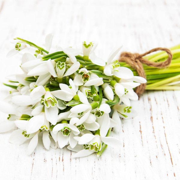 Фон из весенних цветов с 8