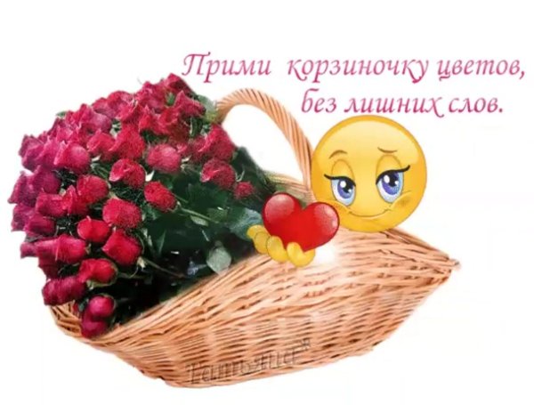 Хорошего настроения цветы