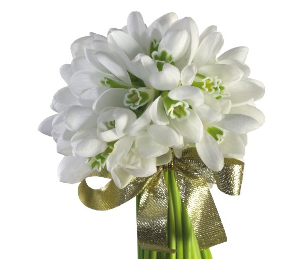 Букет подснежников