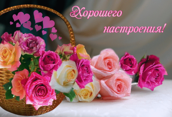 Весенние цветы и пожелания доброго дня
