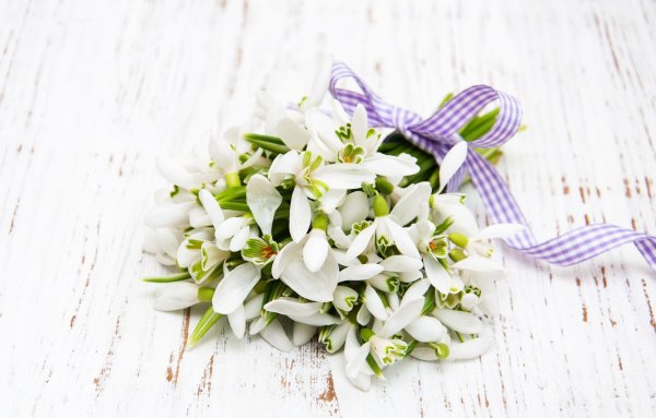 Весенний букет подснежников