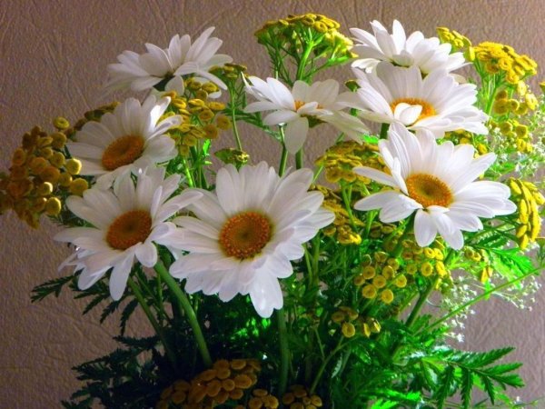 Хорошего настроения цветы