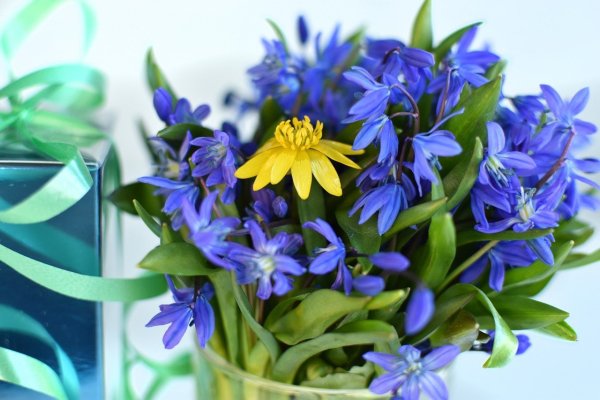 Подснежники в корзине