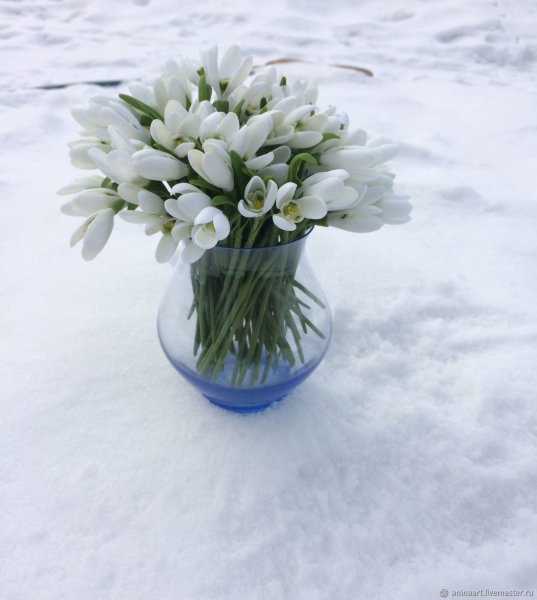 Букет подснежников