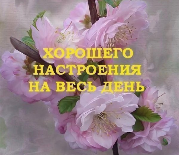 Красивые поздравления с добрым утром