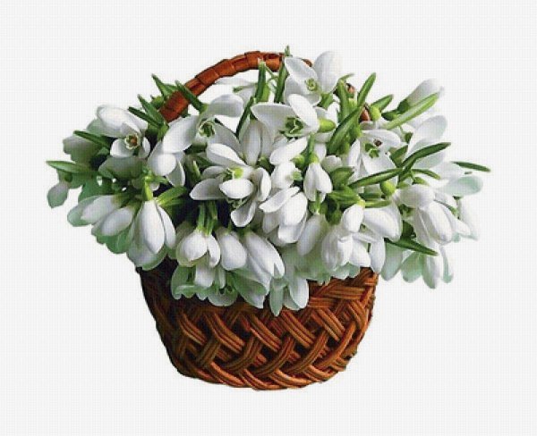 Подснежники в корзине