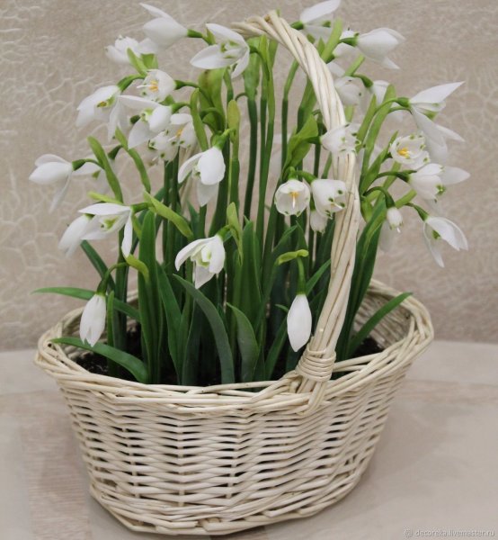 Букет подснежников и первоцветов