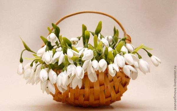 Гербион первоцвет