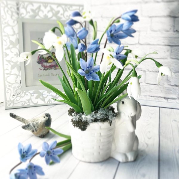 Подснежники голубые букет
