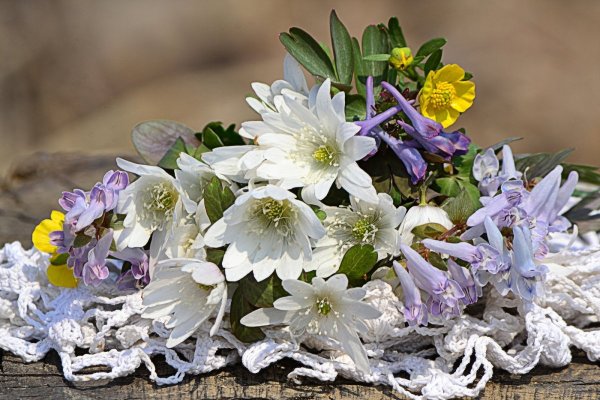 Букет подснежников