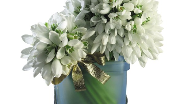 Букет пролески и подснежники