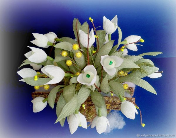 Букет podsnezhniki