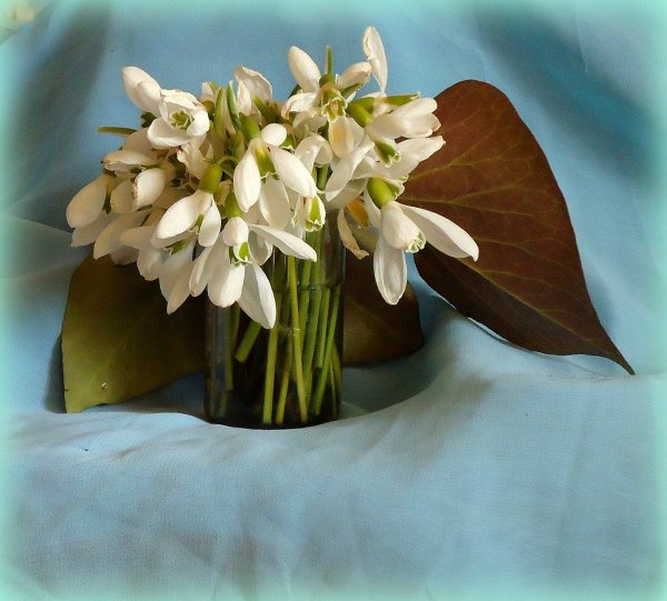 Букет подснежников