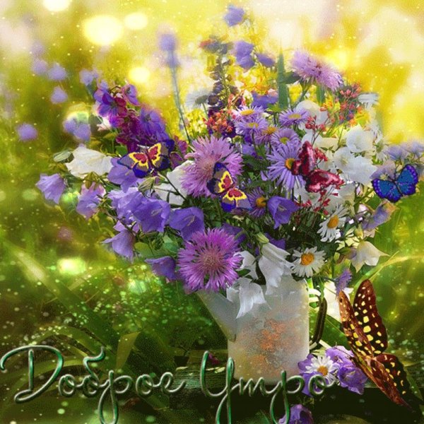 Доброе летнее утро