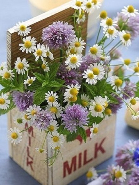 Доброе утро полевые цветы