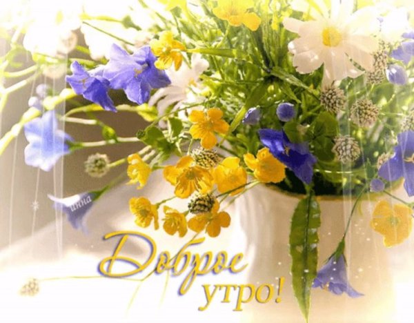 Пожелания тепла и радости