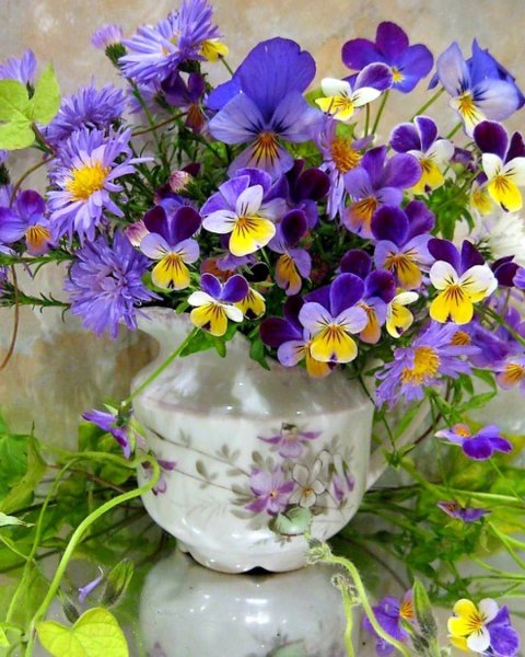 Полевые цветы Анютины глазки