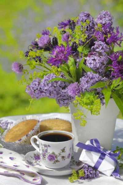 Доброе летнее утро