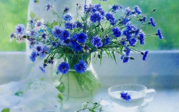 Добрые пожелания с васильками