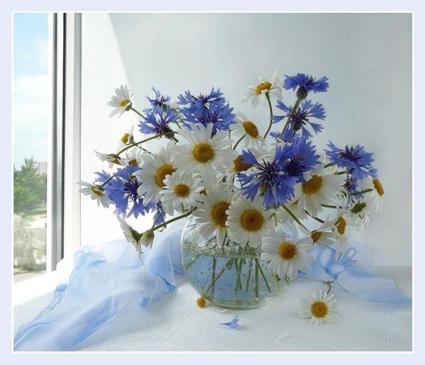 Доброе утро васильки и ромашки