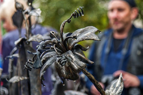 Кованая природа