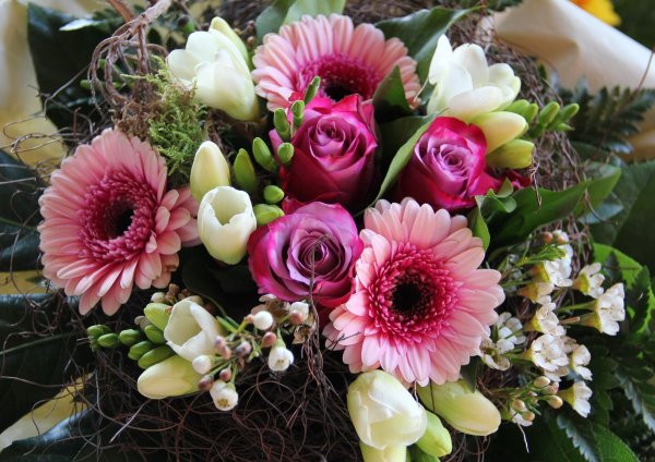 Астра Pink Bouquet