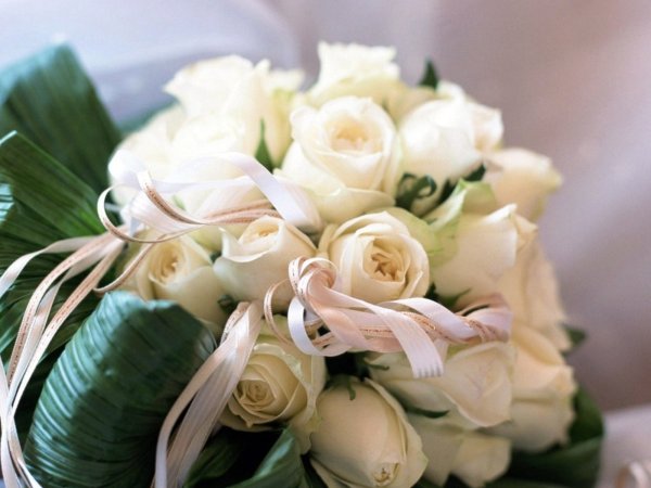 Цветы лилии орхидеи букет