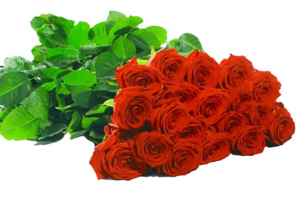 Букет роз лежит