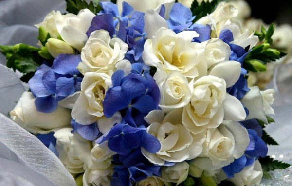 Сногсшибательные розы