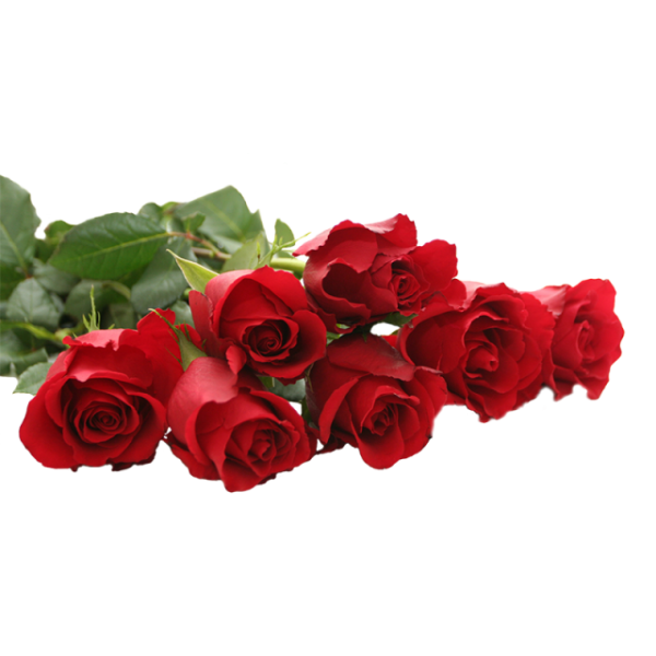 Композиции из цветов живых