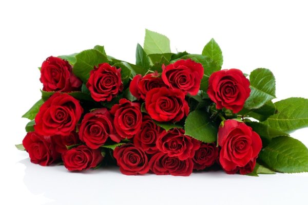 Красивые цветы в подарок