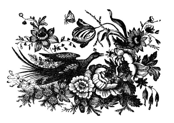 Гравюра цветы