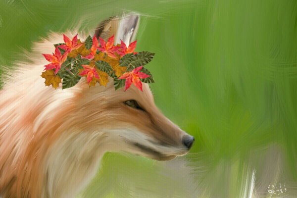 Лиса с цветами