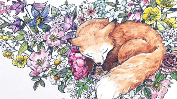 Лисы в цветах