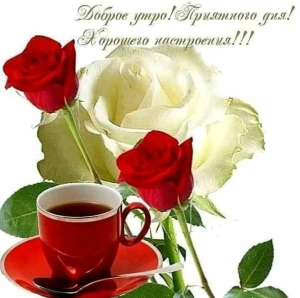 Открытки с добрым утром с цветами красивые