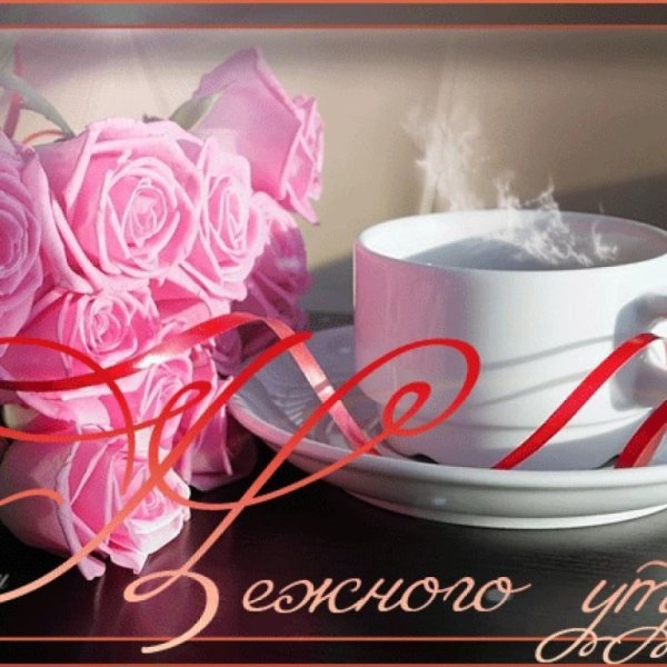 Нежные цветы для девушки