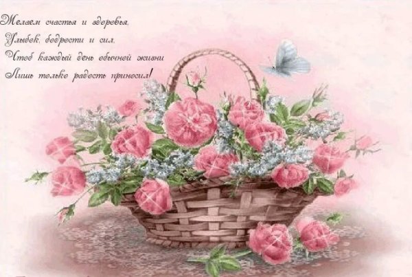 С днём рождения Прованс открытки с пожеланием