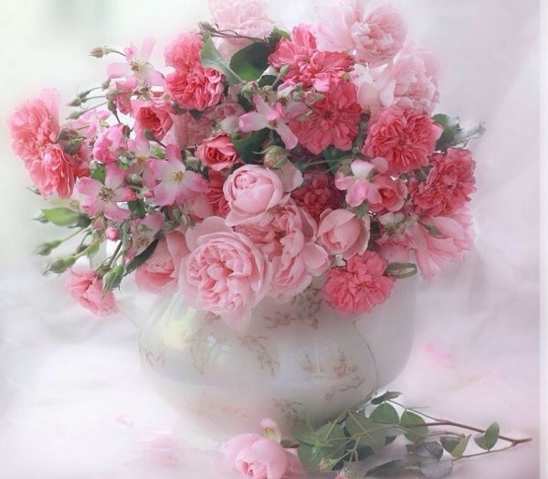 Чудесные нежные цветы