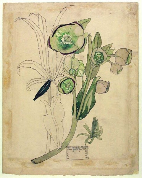 Чарльз Ренни макинтош акварель