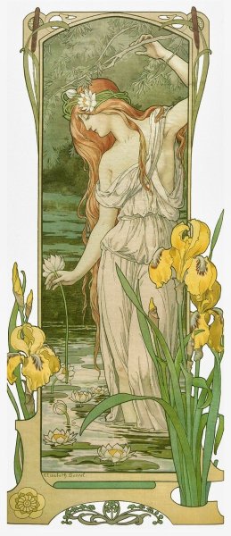 Ботанические растения Jeannie Foord