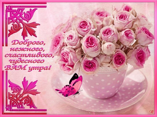 Счастливого доброго утра и прекрасного дня
