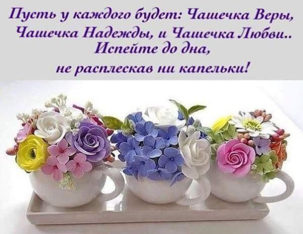 Доброе утро с цветами и пожеланиями