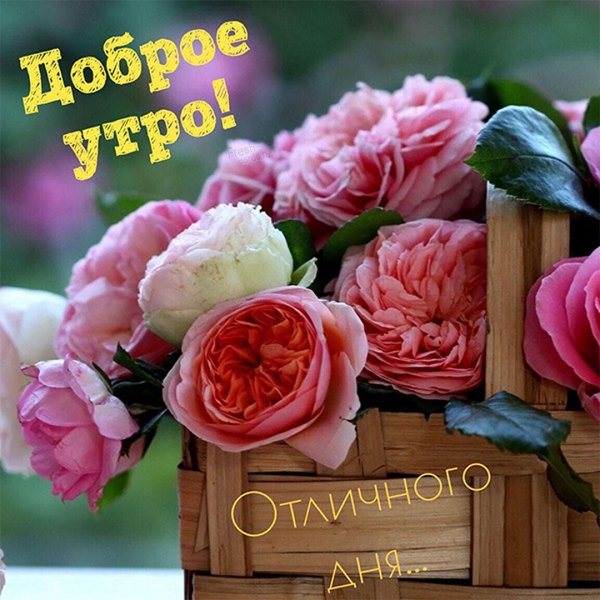 Чудесного утра и отличного настроения