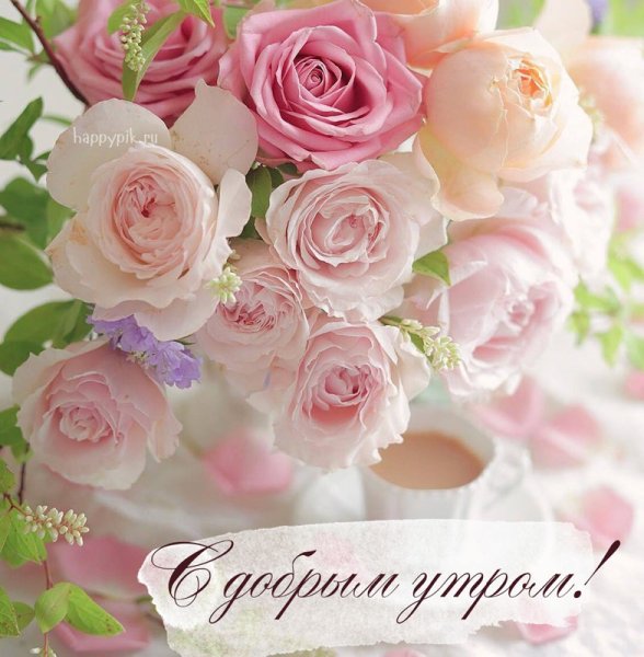 Нежные открытки с добрым утром