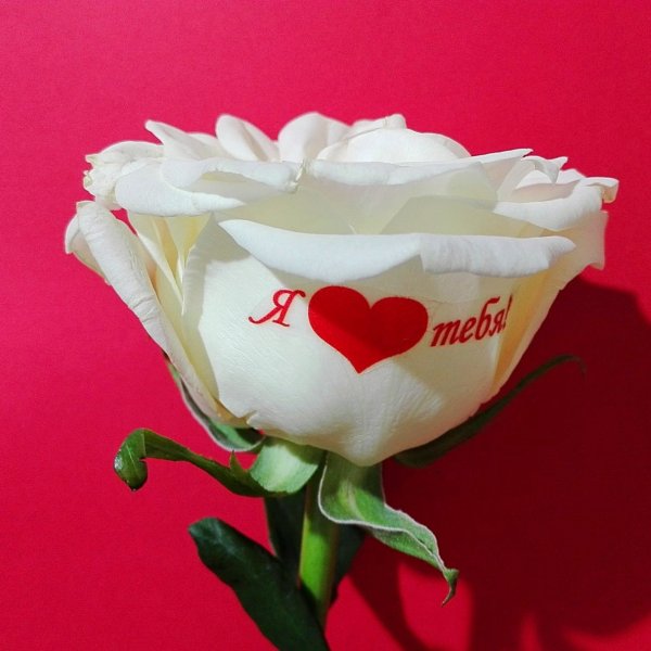 Букет цветов для любимой