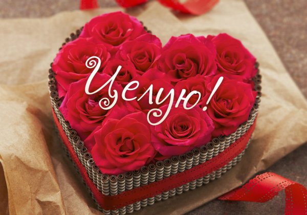 Букет цветов для любимой девушки